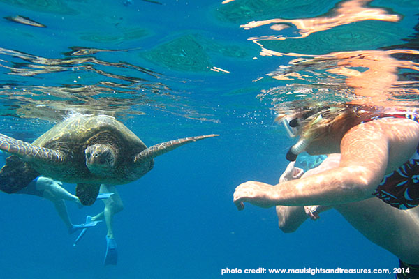 MV_Maui-Snorkel-Turtles