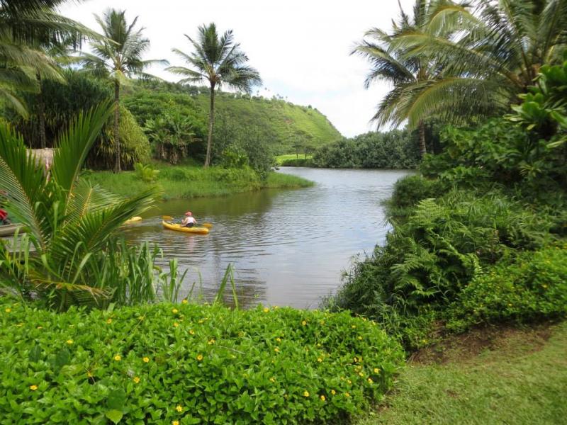 Maui Hawaii Tours Discount Specials Kauai Wailua River Kayak Tour