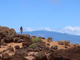 Lana'i Off Road Adventure Trekker Tour - Image 7