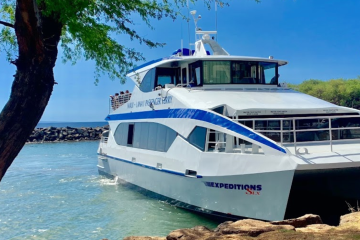 Lana'i Off Road Adventure Trekker Tour - Image 2