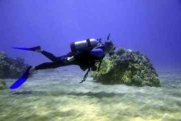 Scuba Luv Maui Diver