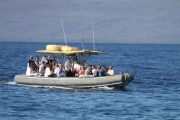 Maui Adventure Cruises Rafting Snorkel
