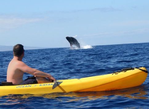 South Pacific Kayak Snorkel Cruise
