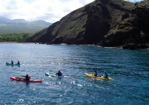 Kayak Tours