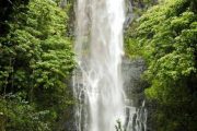 Polynesian Adventure Tours Sightseeing Hana Maui