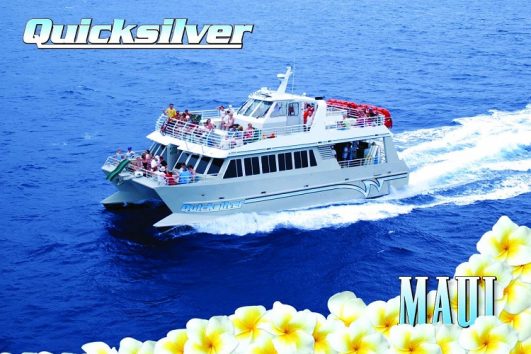 Quicksilver Molokini snorkel boat ad