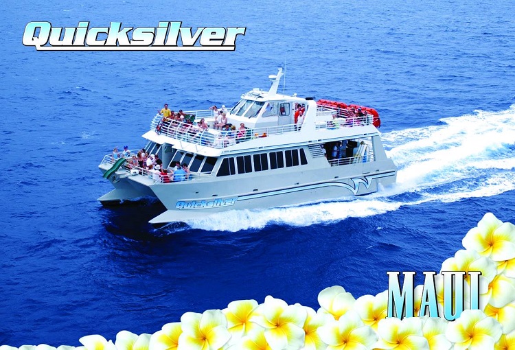 Quicksilver Molokini snorkel boat ad