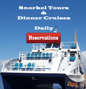 South Side Dinner Cruise Calypso Best Prices