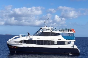 Calypso-Maui-Ocean Tours-Snorkel-and-Sunset Cruise