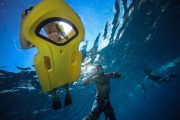 Molokini-snorkel-calypso-underwater-view-board