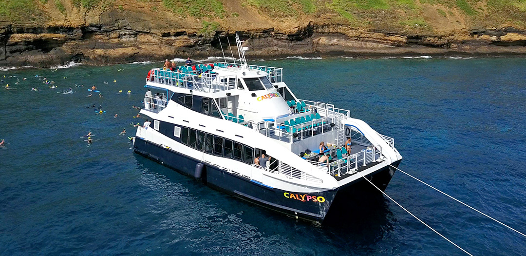 maui snorkel tours calypso