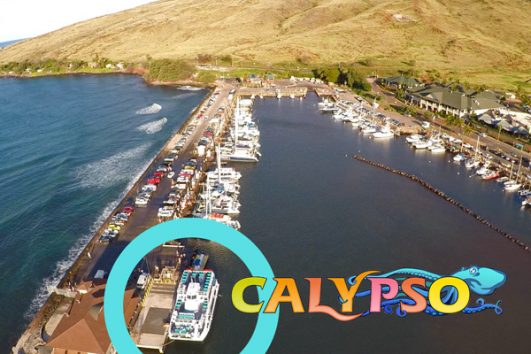 Molokini-snorkel-calypso