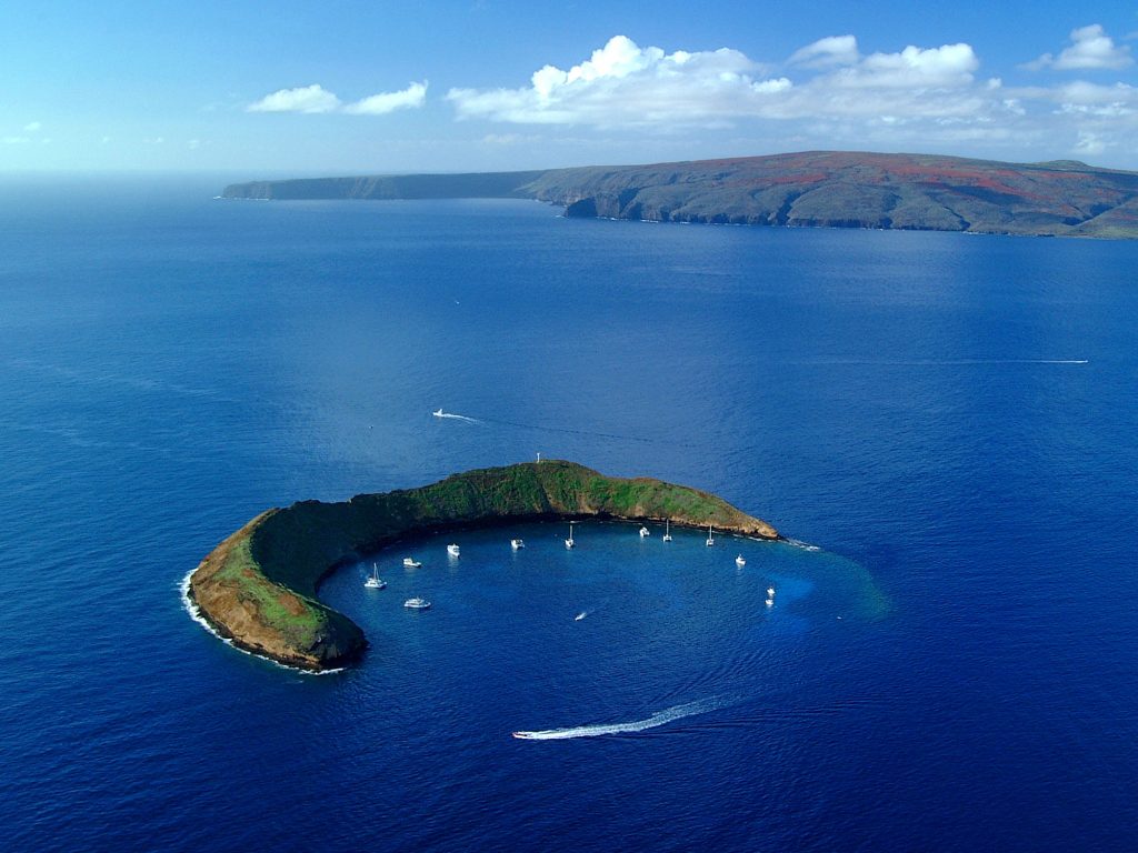 Molokini Snorkel and Turtle Arches Maui Sights and Treasures