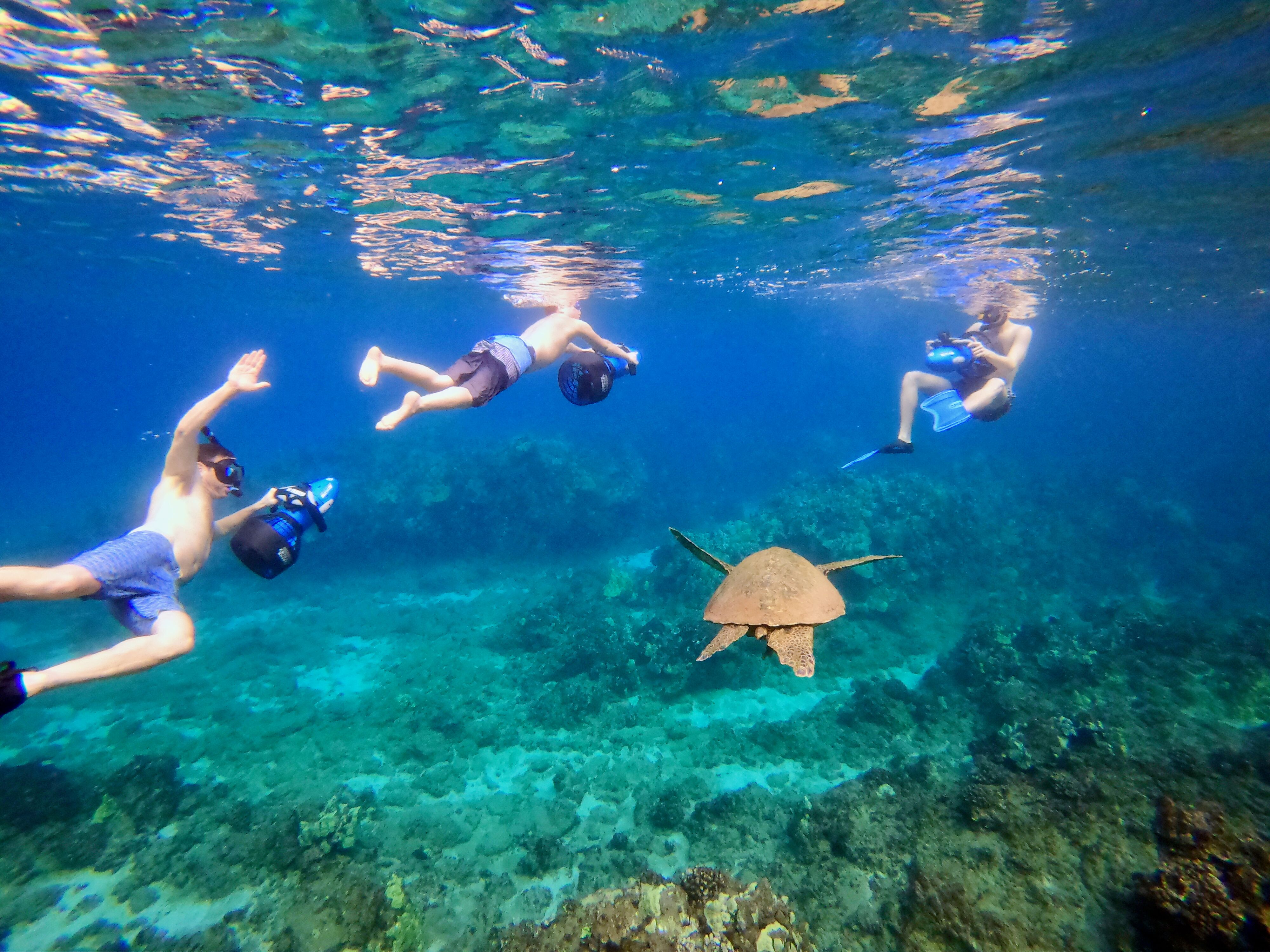 Maui Hawaii Tours Discount Specials Snorkel Maui On A Sea Scooter Maui Sights And Treasures