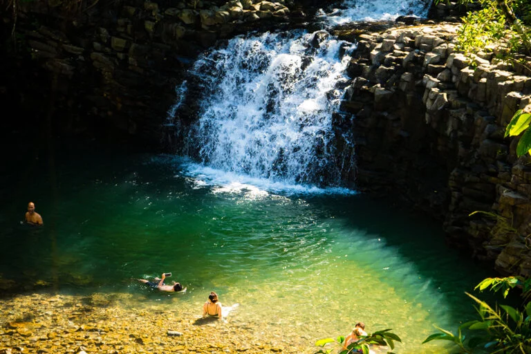 Waterfall and Rainforest Hiking Adventure