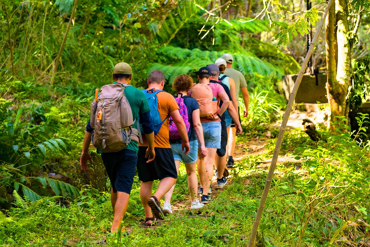 Waterfall and Rainforest Hiking Adventure - Image 4