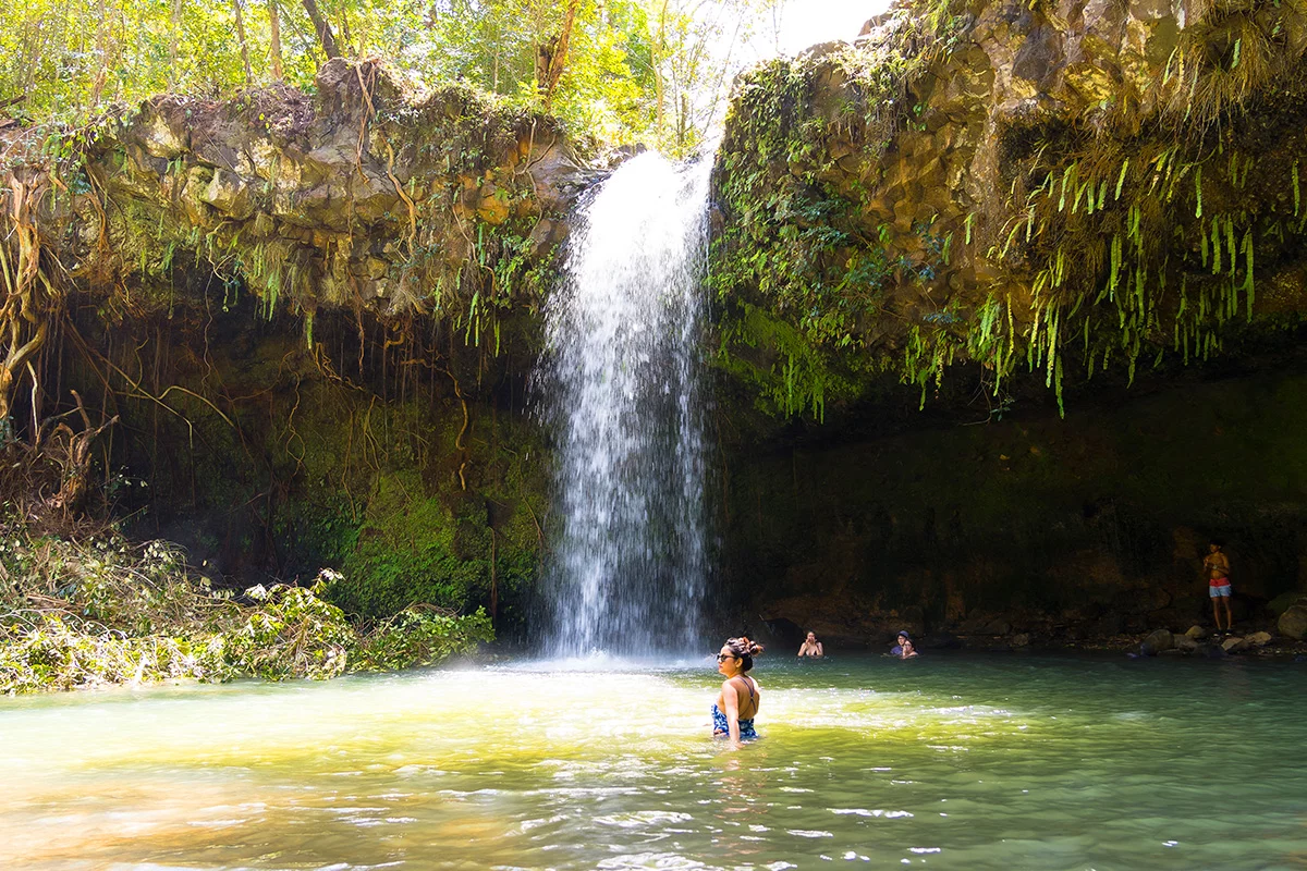Waterfall and Rainforest Hiking Adventure - Image 5