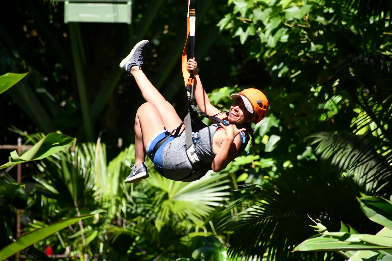 Jungle Zip Line - Image 2