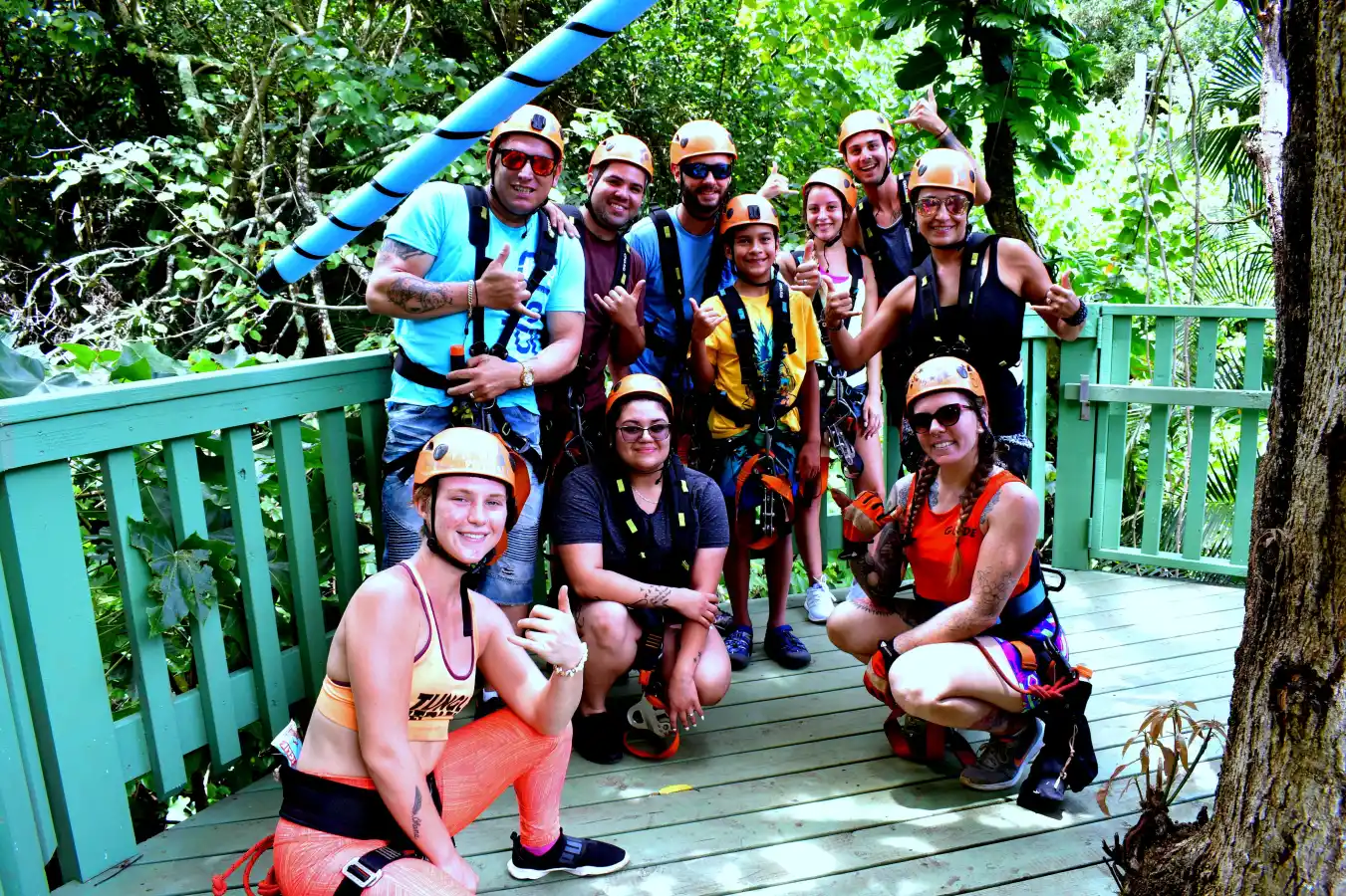 Jungle Zip Line - Image 6
