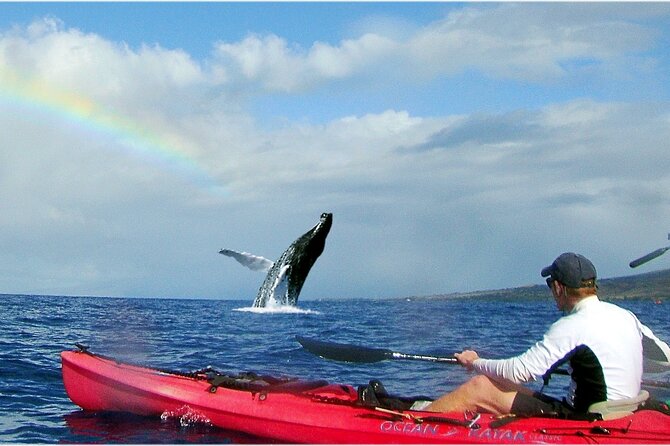 Whale Watch Snorkel by Kayak in Makena - Image 2