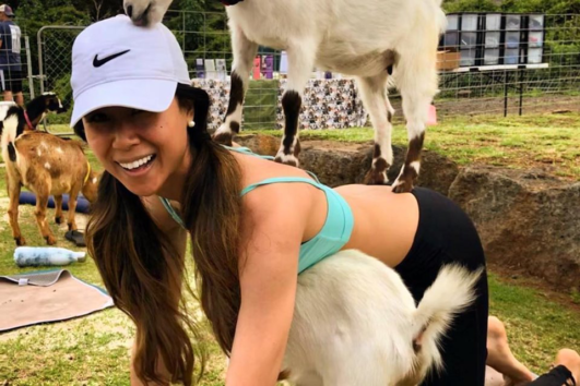Maui Goat Yoga